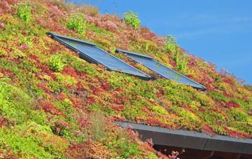 Woods Corner living roof systems
